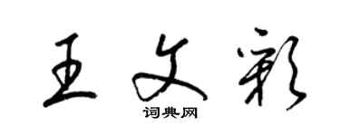 梁锦英王文彩草书个性签名怎么写