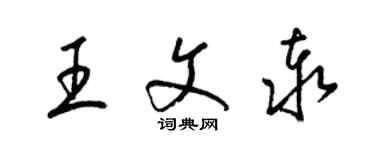 梁锦英王文泰草书个性签名怎么写