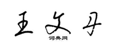 梁锦英王文丹草书个性签名怎么写