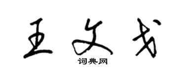 梁锦英王文戈草书个性签名怎么写