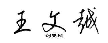 梁锦英王文越草书个性签名怎么写