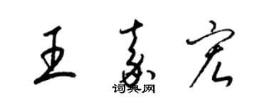 梁锦英王嘉宏草书个性签名怎么写