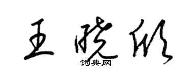 梁锦英王晓欣草书个性签名怎么写
