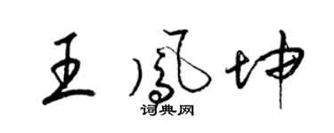 梁锦英王凤坤草书个性签名怎么写