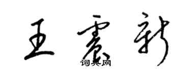 梁锦英王震新草书个性签名怎么写