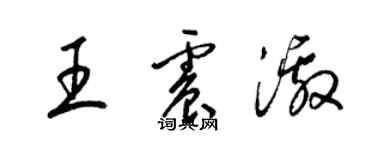 梁锦英王震激草书个性签名怎么写
