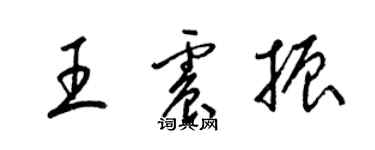 梁锦英王震振草书个性签名怎么写