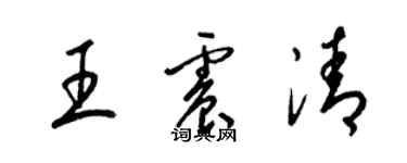 梁锦英王震清草书个性签名怎么写