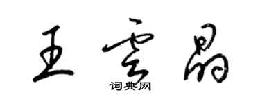 梁锦英王云晶草书个性签名怎么写