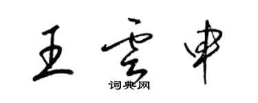 梁锦英王云申草书个性签名怎么写