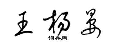 梁锦英王杨晏草书个性签名怎么写