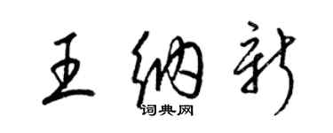 梁锦英王纳新草书个性签名怎么写