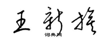 梁锦英王新旗草书个性签名怎么写
