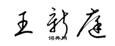 梁锦英王新庭草书个性签名怎么写