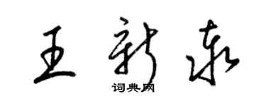 梁锦英王新泰草书个性签名怎么写