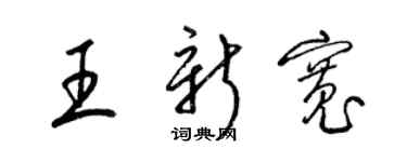 梁锦英王新宽草书个性签名怎么写