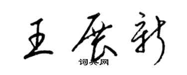 梁锦英王展新草书个性签名怎么写