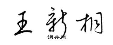 梁锦英王新桐草书个性签名怎么写