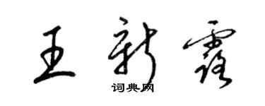梁锦英王新露草书个性签名怎么写