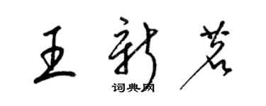 梁锦英王新茗草书个性签名怎么写