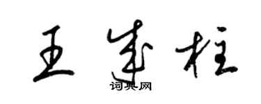 梁锦英王成柱草书个性签名怎么写