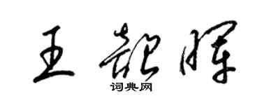 梁锦英王韶晖草书个性签名怎么写