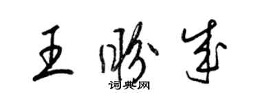梁锦英王盼成草书个性签名怎么写