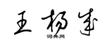 梁锦英王杨成草书个性签名怎么写