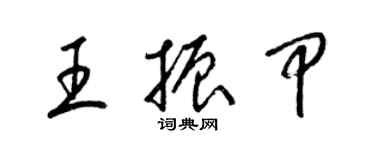 梁锦英王振甲草书个性签名怎么写