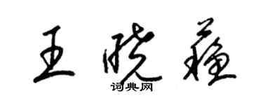 梁锦英王晓苏草书个性签名怎么写
