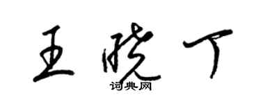 梁锦英王晓丁草书个性签名怎么写
