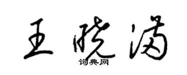 梁锦英王晓满草书个性签名怎么写