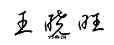 梁锦英王晓旺草书个性签名怎么写