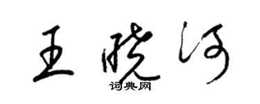 梁锦英王晓河草书个性签名怎么写