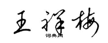梁锦英王祥梅草书个性签名怎么写
