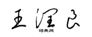 梁锦英王润良草书个性签名怎么写