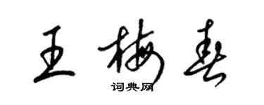 梁锦英王梅春草书个性签名怎么写