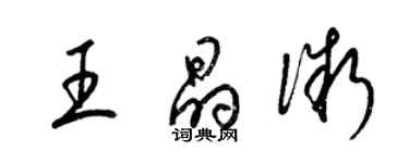梁锦英王晶微草书个性签名怎么写