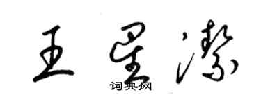 梁锦英王星洁草书个性签名怎么写