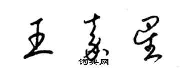梁锦英王嘉星草书个性签名怎么写