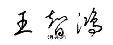 梁锦英王智鸿草书个性签名怎么写