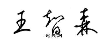 梁锦英王智森草书个性签名怎么写