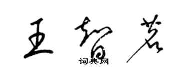 梁锦英王智茗草书个性签名怎么写