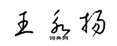 梁锦英王永扬草书个性签名怎么写