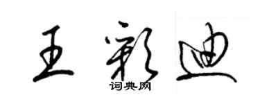 梁锦英王彩迪草书个性签名怎么写