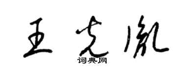 梁锦英王光胤草书个性签名怎么写