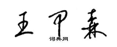 梁锦英王甲森草书个性签名怎么写