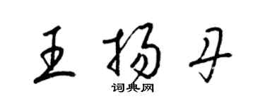 梁锦英王扬丹草书个性签名怎么写