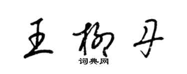 梁锦英王柳丹草书个性签名怎么写
