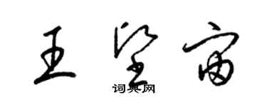 梁锦英王坚宙草书个性签名怎么写